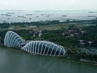Garden by the bay 