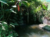 Schmetterlingsfarm Kuala Lumpur Malaysia