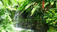 Schmetterlingsgarten Kuala Lumpur (3)