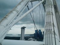 Singapore Flyer 