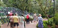 Singapur botanischer Garten