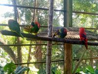 Vogelpark 