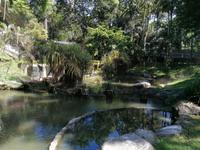 Vogelpark Kuala Lumpur Malaysia