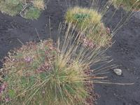 Italien, Sizilien, am Ätna