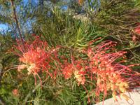 Italien, Sizilien, Insel Lipari