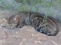 Italien, Sizilien, Lipari