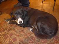 Italien, Sizilien, Giarre, Agriturismo San Leonardello