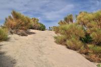 Aufstieg zum Vulcanello - Das Kind des Vulcano