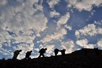 Aufstieg zum Gipfel des Stromboli