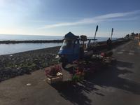 in Marina di Riposto