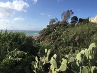 Wanderung zum Capo Milazzo