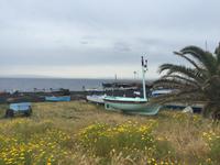 Hafen vom Stromboli
