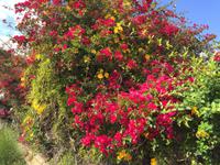 Wanderung zum Capo Milazzo