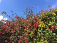 Wanderung zum Capo Milazzo