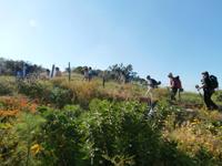 Stromboli-Aufstieg ins Fegefeuer