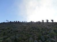 Stromboli-Aufstieg ins Fegefeuer