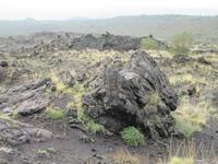 Ätna- kurz vor der Vegetationsgrenze