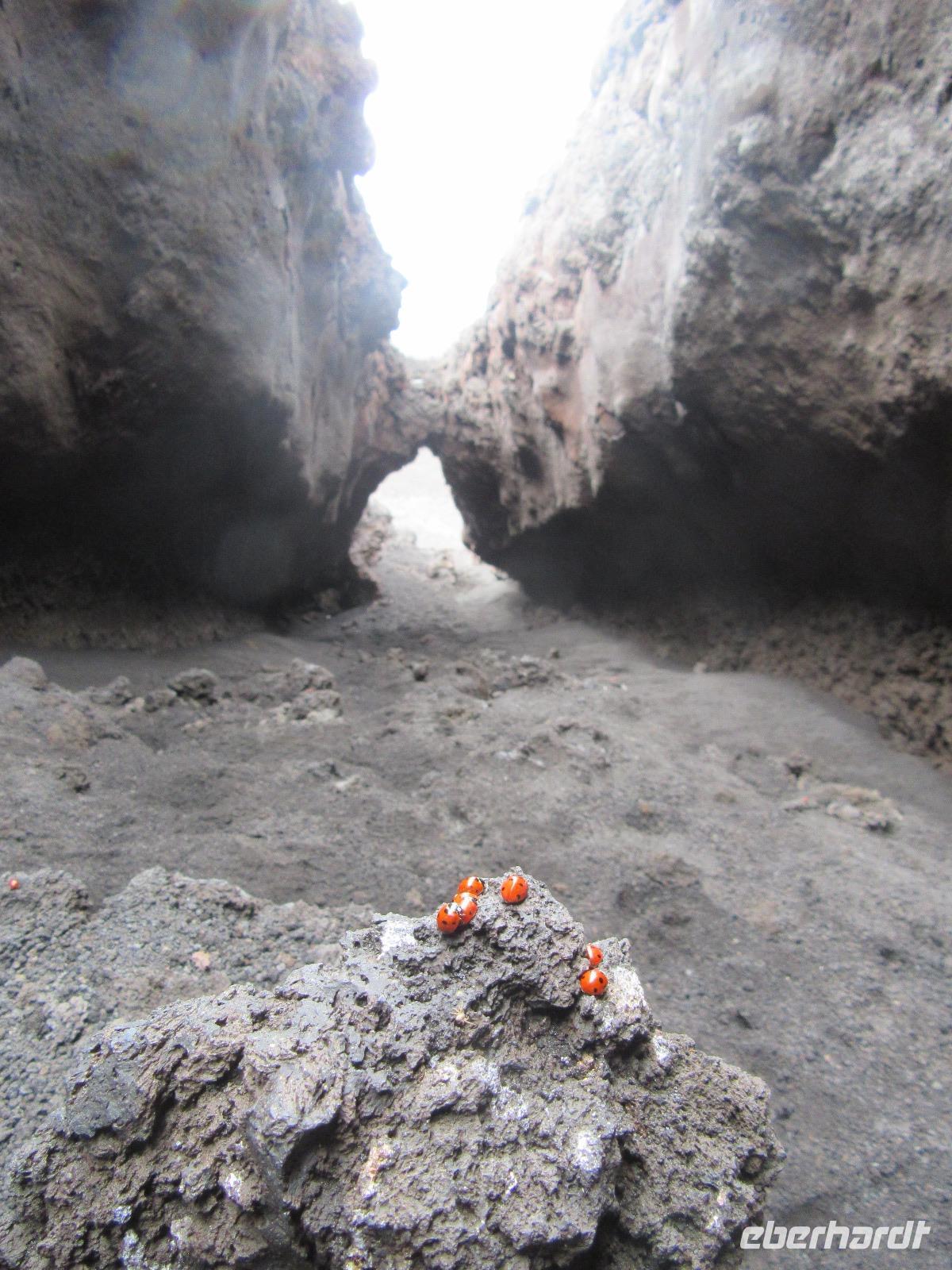 Ätna - Ausbruchsstelle von 2001