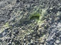 Fumarole auf Vulcano