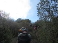Wanderung zum Gipfel des Stromboli