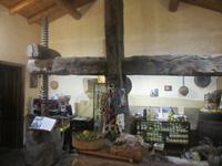 Alte Weinpresse im Agriturismo San Leonardello