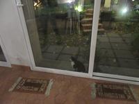 Lasst mich rein, ich habe auch Hunger!