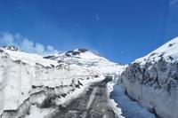 Auffahrt mit dem Geländebus zum Torre del Filosofo auf 2.920 m