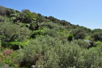 Wandern auf Lipari, UNESCO Weltnaturerbe, Äolische Inseln