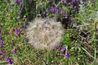 Wandern auf Lipari, UNESCO Weltnaturerbe, Äolische Inseln