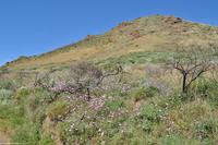 Wandern auf Lipari, UNESCO Weltnaturerbe, Äolische Inseln