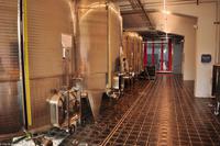 Weingut Tenuta di Castellaro, Lipari, Äolische Inseln