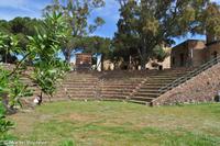 Zitadelle von Lipari - Olivenzweig