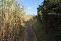 Panoramaweg Stromboli