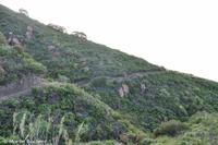 Panoramaweg Stromboli