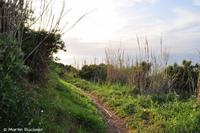Panoramaweg Stromboli