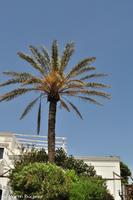 Stromboli - Unser Hotel Villaggio Stromboli