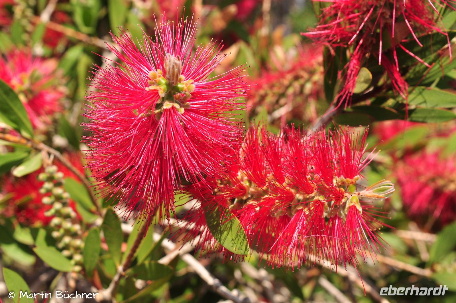 Stromboli - Unser Hotel Villaggio Stromboli
