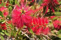 Stromboli - Unser Hotel Villaggio Stromboli