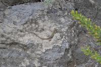 Tag 03 Lipari IT-VULKA (20)