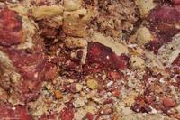 Tag 03 Lipari IT-VULKA (21)