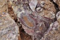 Tag 03 Lipari IT-VULKA (22)