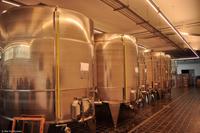 Tag 03 Lipari IT-VULKA (28)