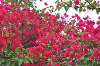 Tag 03 Lipari IT-VULKA (34)