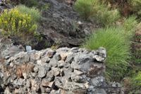 Tag 04 Vulcano IT-VULKA (8)