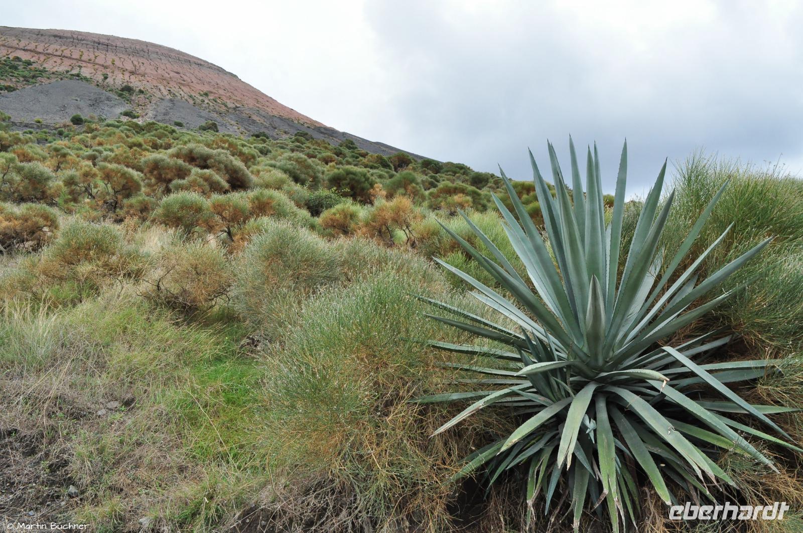 Tag 04 Vulcano IT-VULKA (20)