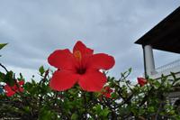 Tag 04 Vulcano IT-VULKA (24)