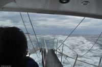 Tag 04 Vulcano IT-VULKA (36)