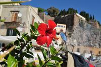 Tag 05 Panarea & Stromboli IT-VULKA (11)