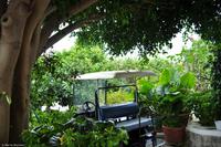 Tag 05 Panarea & Stromboli IT-VULKA (25)