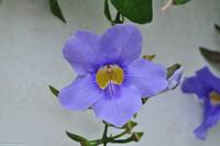 Tag 05 Panarea & Stromboli IT-VULKA (26)